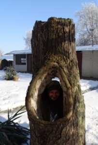 Zimná prechádzka plná čara a radosti