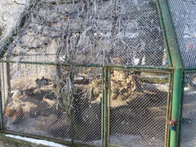 Zimná prechádzka plná čara a radosti