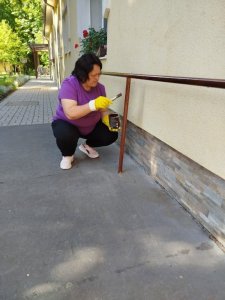 Spoločnými silami sme skrášlili náš exteriér