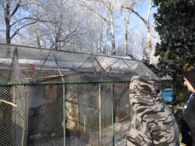 Zimná prechádzka plná čara a radosti