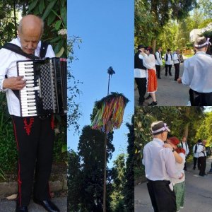 Máj, máj zelený ...