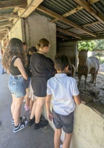 Dotyk hudby – koncert žiakov ZUŠ Balog nad Ipľom