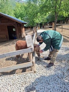 Výlet na Muránsku planinu – deň plný radosti, zážitkov a prírodných krás