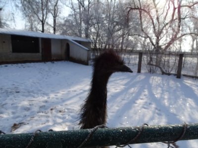 Zimná prechádzka plná čara a radosti