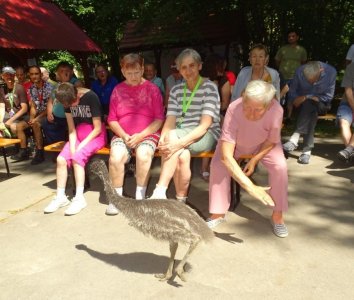 Dotyk hudby – koncert žiakov ZUŠ Balog nad Ipľom