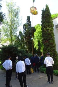 Máj, máj zelený, pod oblôčkom sadený...